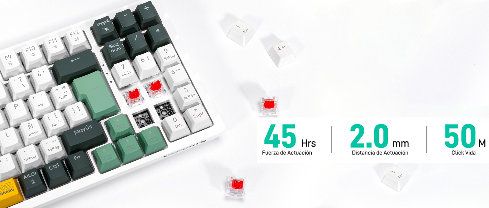 Switch Lineal y Permite Hotswap