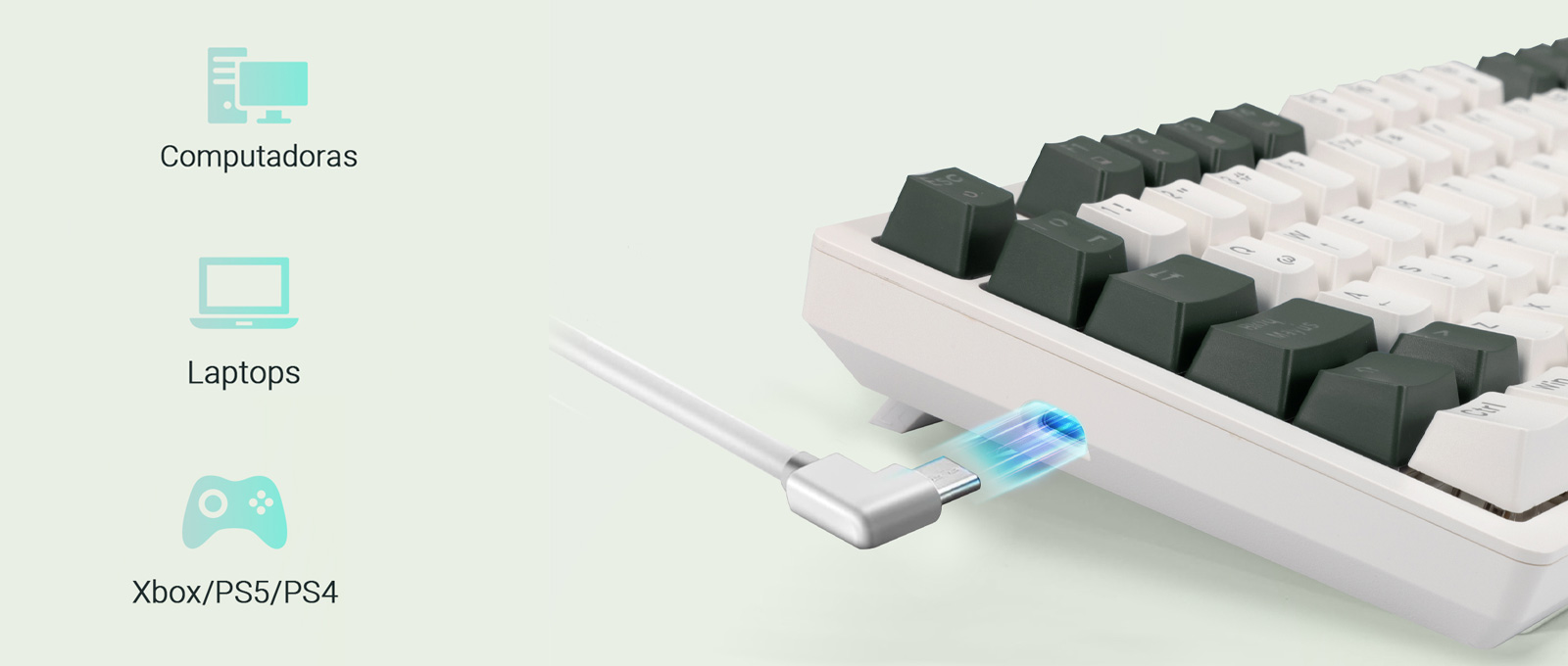 Amplia compatibilidad
