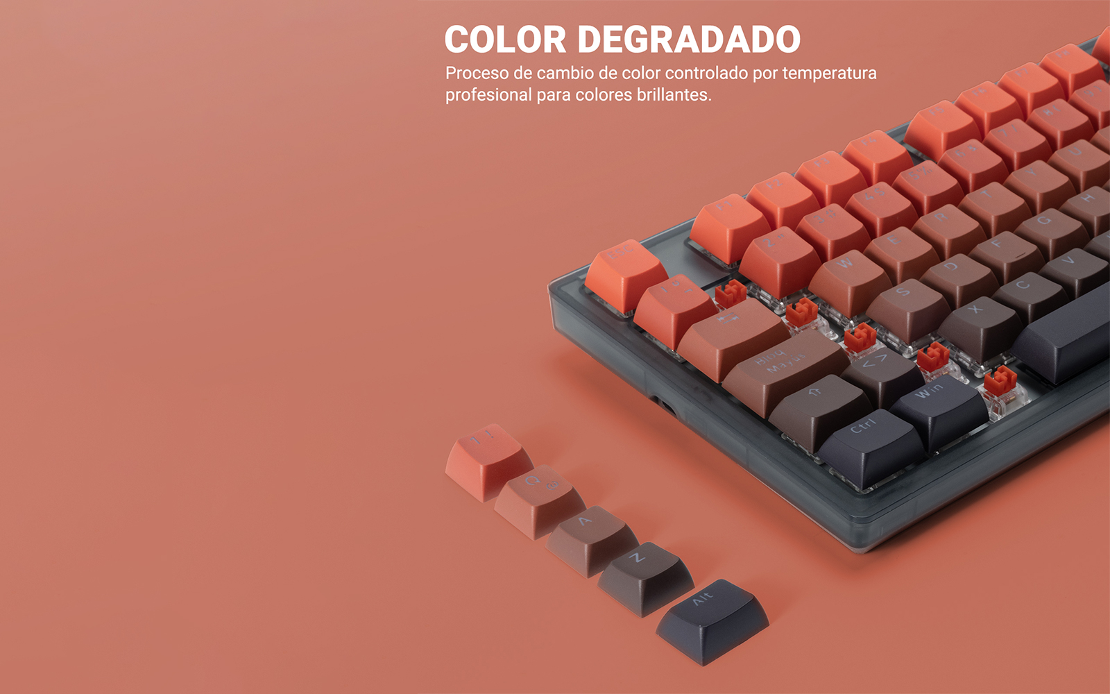 Colores Degradados Vivos