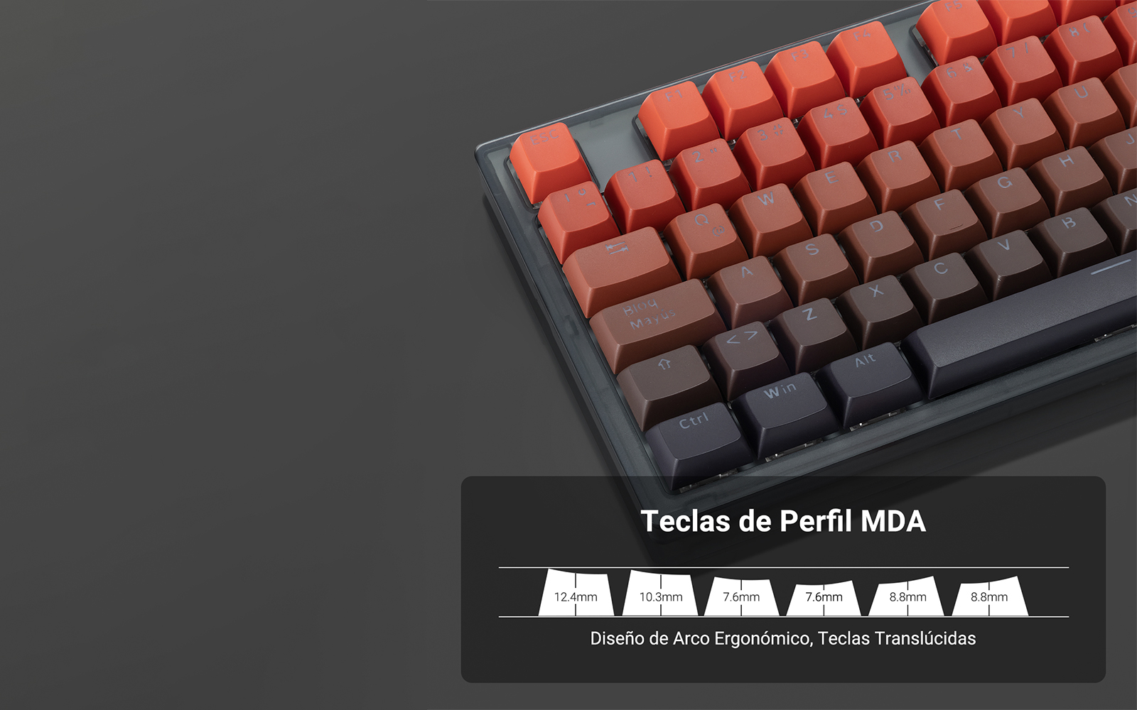 Diseño Latinoamericano y Ergonómico