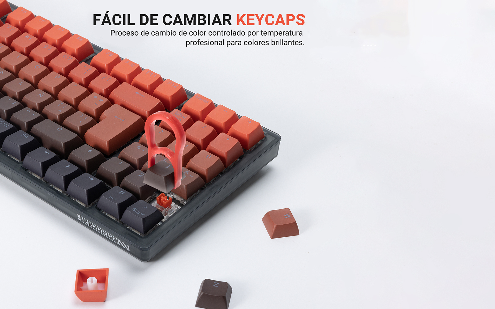 Cambio Sencillo y Rápido