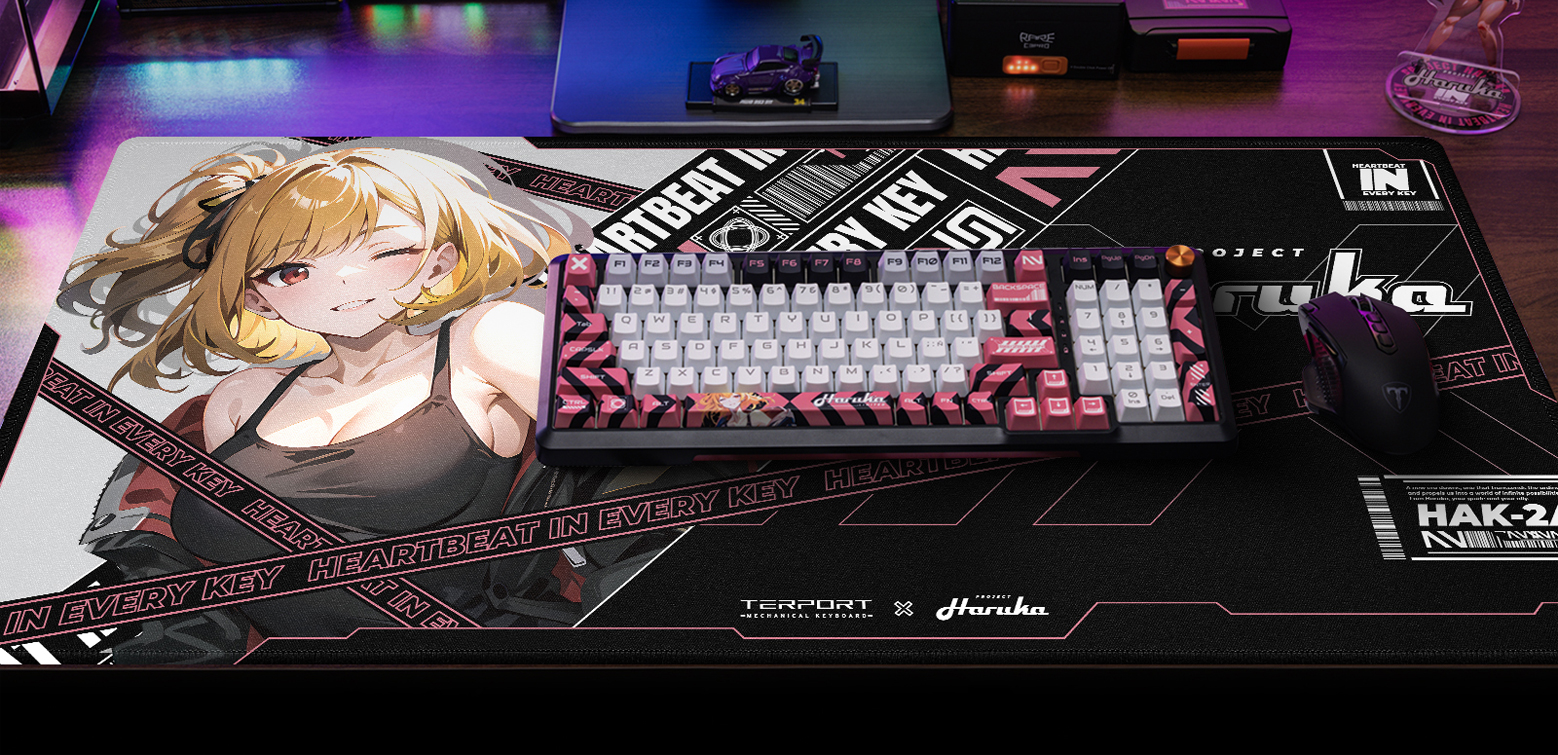 TERPORT X HARUKA Mouse Pad