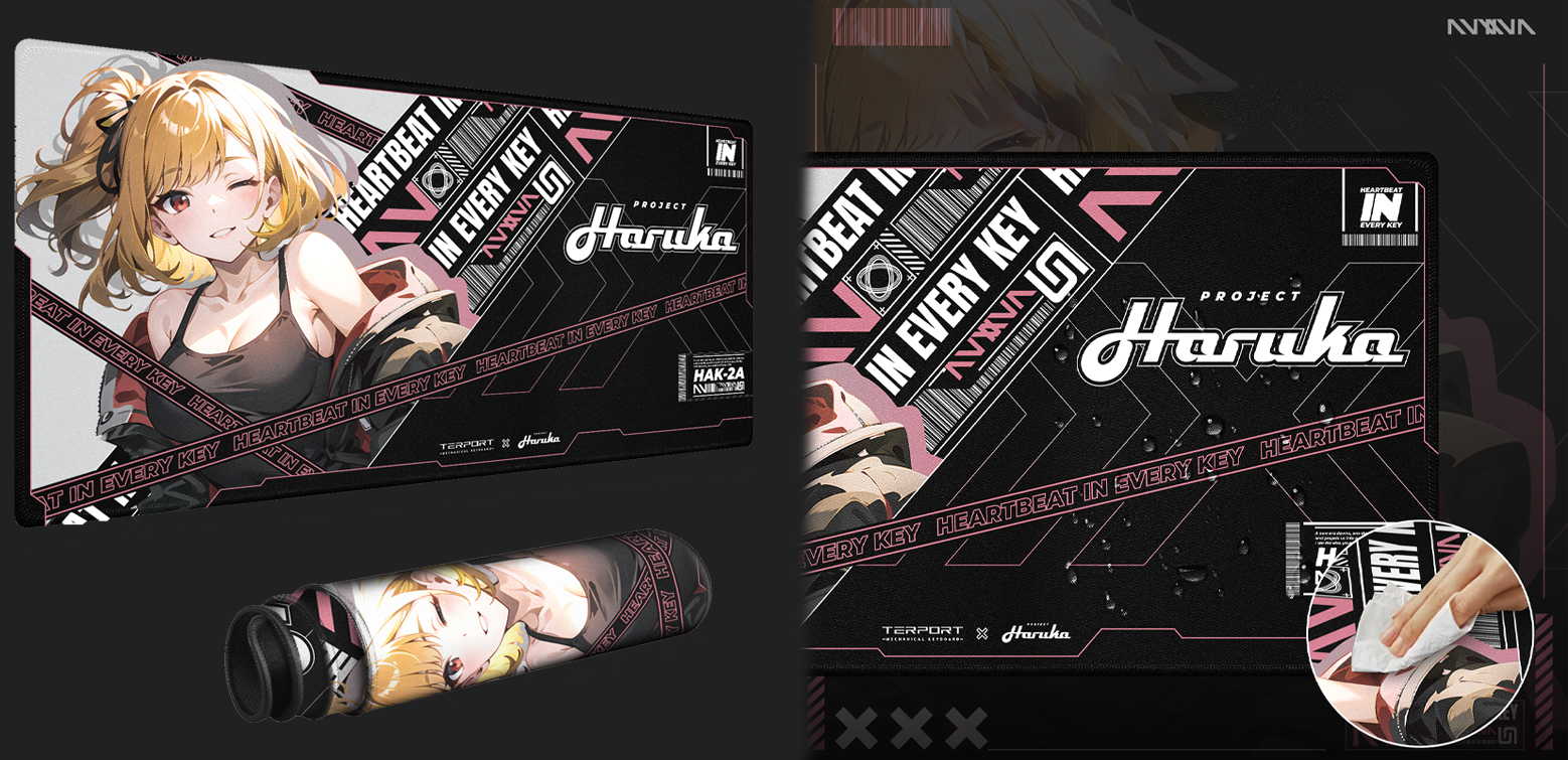TERPORT X HARUKA Mouse Pad