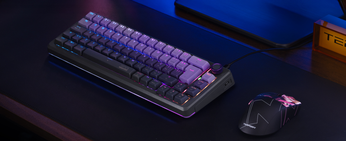 Teclado Mecánico Inalámbrico TERPORT Z11